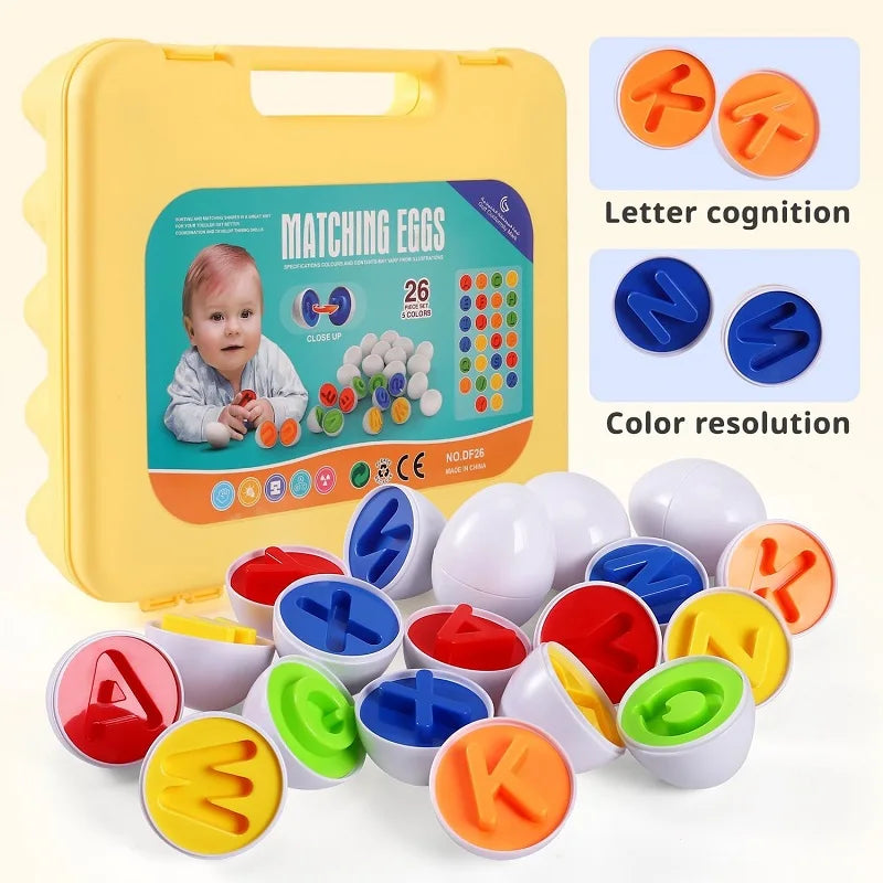 Matching Eggs Shape Sorter Sensory Toy