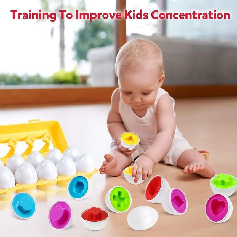 Matching Eggs Shape Sorter Sensory Toy