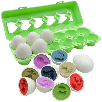 Matching Eggs Shape Sorter Sensory Toy