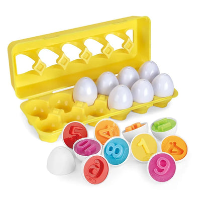 Matching Eggs Shape Sorter Sensory Toy