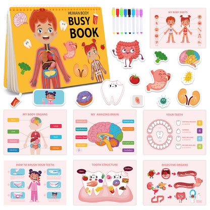 Interactive Human Body Busy Book Set (2 Books) - Educational Quiet Learning Toy for Toddlers